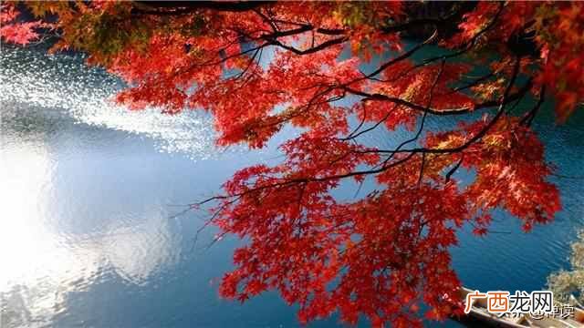 宁静致远是什么意思(淡泊寡欲可以养神,宁静