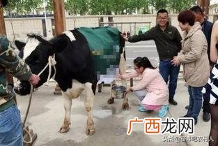 致富经创业项目,农村创业网致富网代做手工