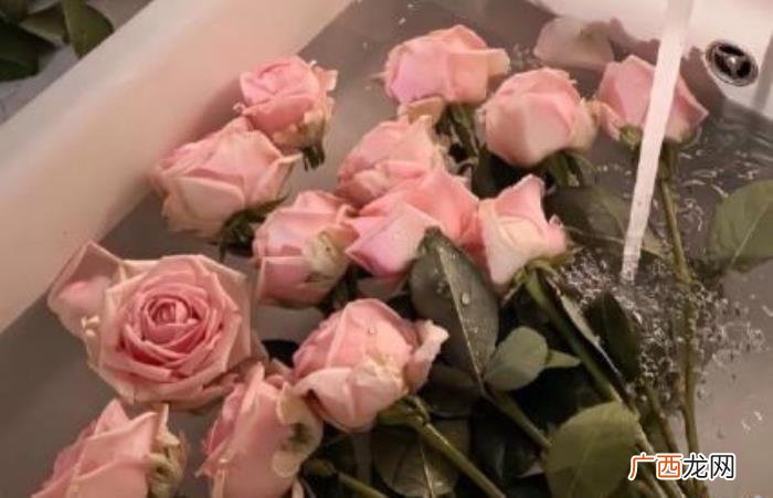 细水长流的爱情语录，经历过才能看的懂的爱情句子