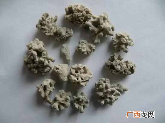 海浮石 浮石