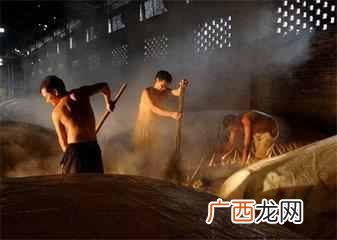 酒曲到底是什么 酒曲是什么