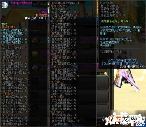 DNF沙滩排球宠物如何获得 DNF沙滩排球宠物获取攻略