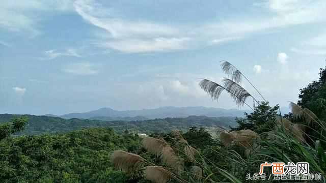 面对别人语言的挑衅怎么办 挑衅是什么意思