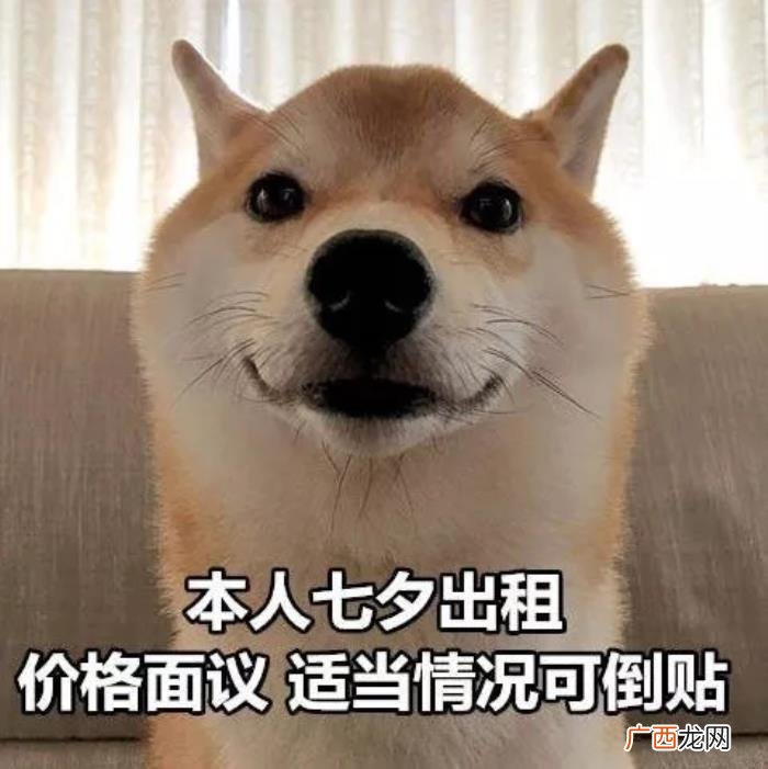 七夕出租表情包图片合集 五一出租自己搞笑说说