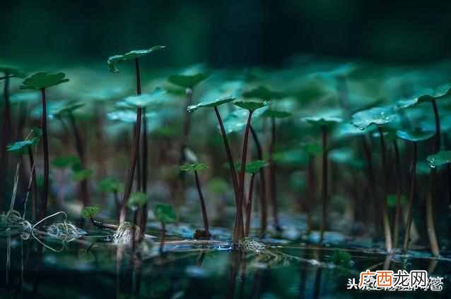 如何利用 景深是什么意思