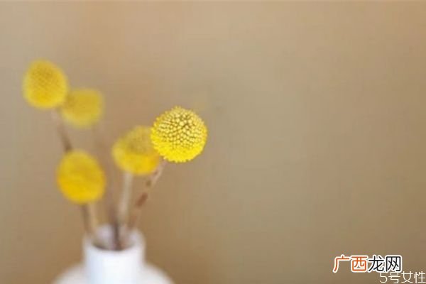 很爱自己女朋友但是自己出轨怎么办出轨了怎么补救