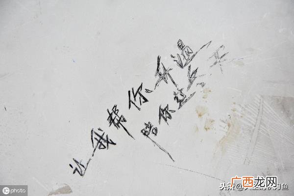 撩女朋友的情话高级,撩女朋友的情话有哪些