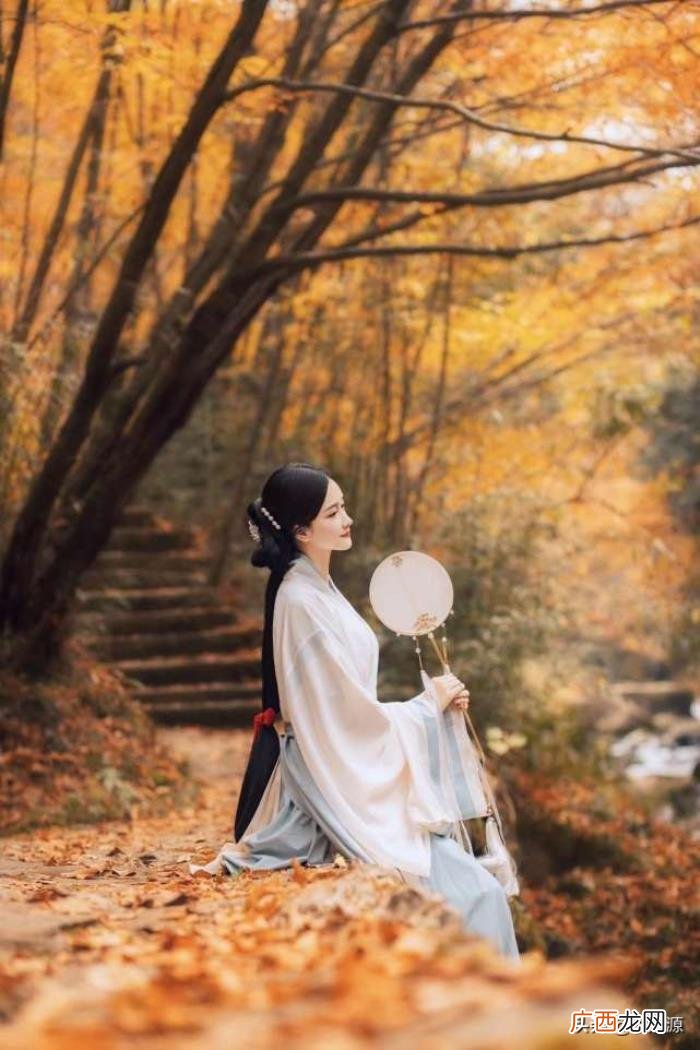 现代诗歌详细赏析，现代诗作赏析