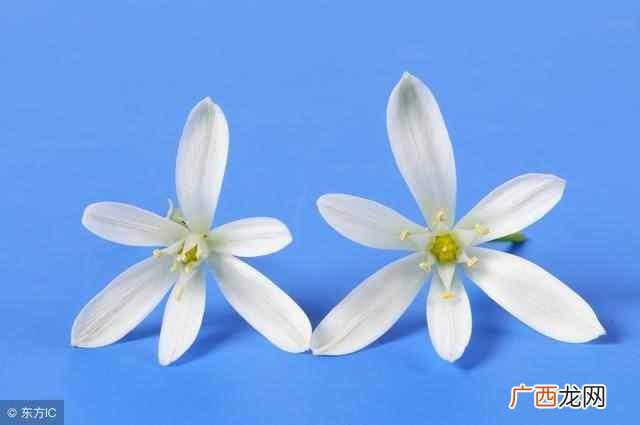 它到底神秘在哪里 藏青色是什么颜色