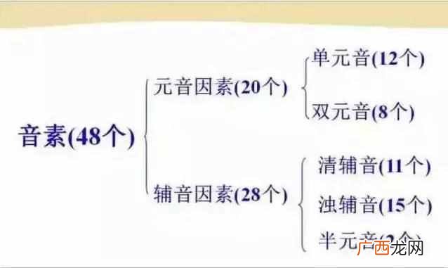 48个国际音标发音表(48个国际英语音标发音表及