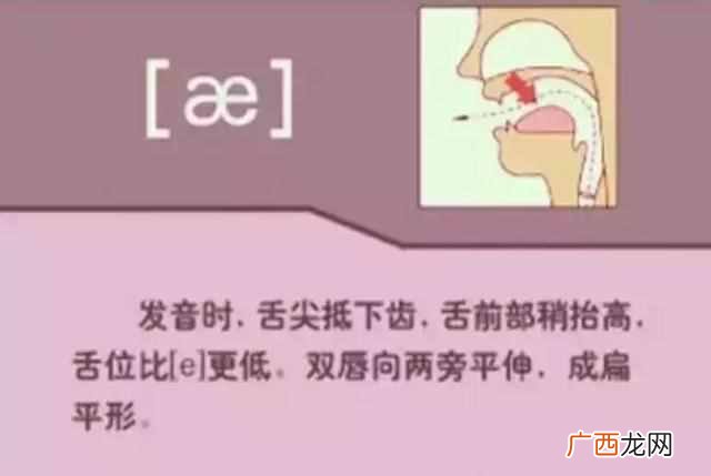 48个国际音标发音表(48个国际英语音标发音表及
