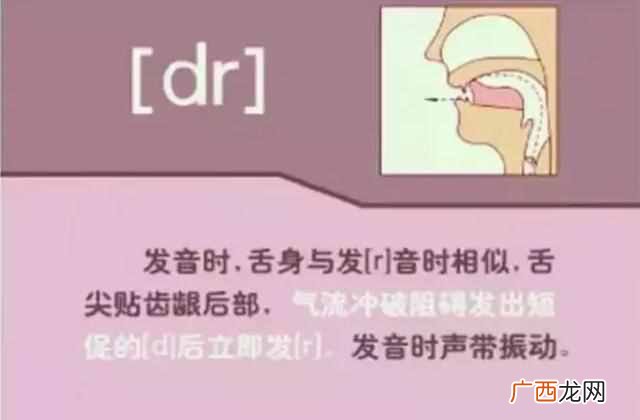 48个国际音标发音表(48个国际英语音标发音表及