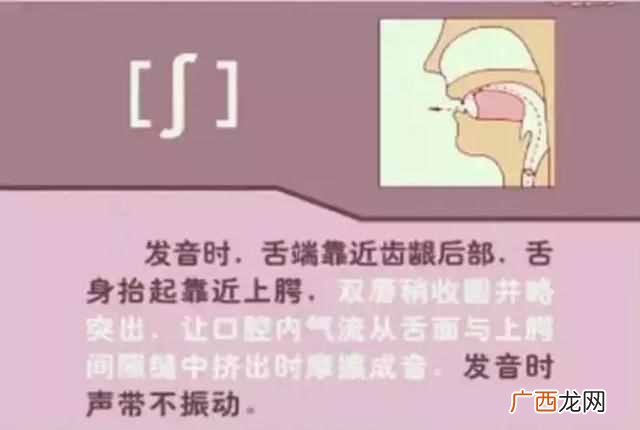 48个国际音标发音表(48个国际英语音标发音表及