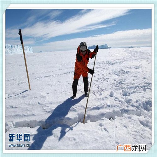 南极远古病毒是什么 南极远古病毒真的假的