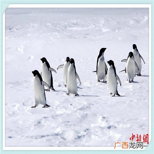 公交驾校怎么样 北京公交驾校教练怎么样