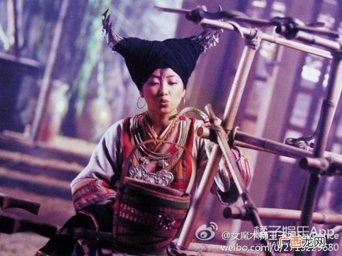 戴向宇陈紫函，欢迎收看陈紫函戴向宇的爱情实录