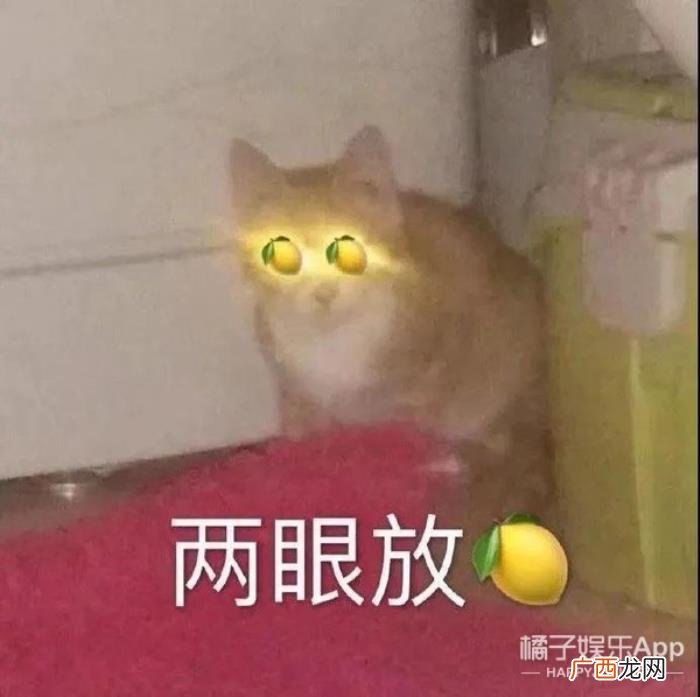 戴向宇陈紫函，欢迎收看陈紫函戴向宇的爱情实录