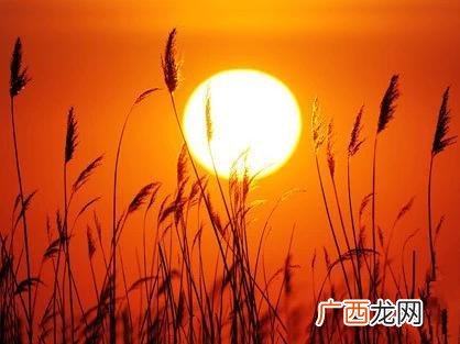 怎么贷款10万元急需要钱急急,没有房没有车可以去银行贷款吗
