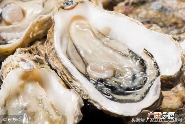 海蛎子怎么吃最有营养 海蛎子怎么吃