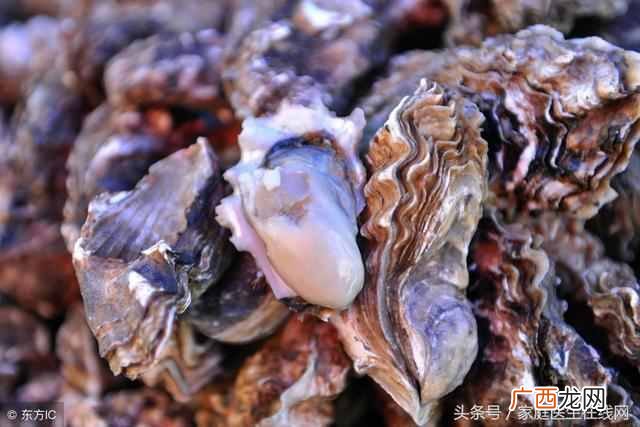海蛎子怎么吃最有营养 海蛎子怎么吃