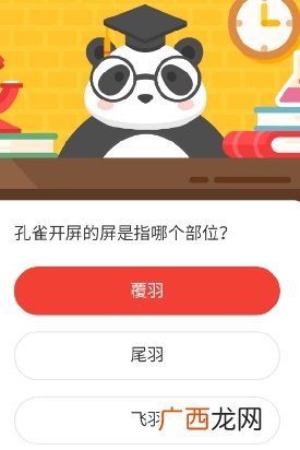 森林驿站孔雀开屏的屏是指哪个部位