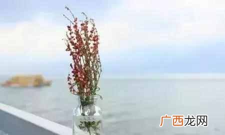 经典管理案例之企业管理 企业管理案例分析