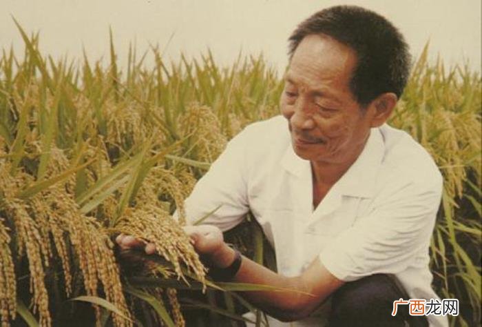 明星出门带保镖,明星带保镖出门