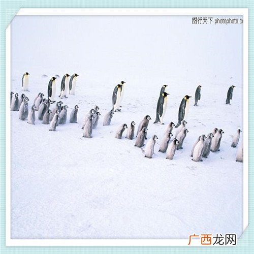 山西晋钢集团2021招聘信息 大学生去钢厂都干什么