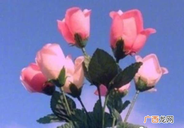 最肉麻的爱情句子，煽情又肉麻的爱情说说句子