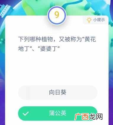 哪种植物被称为黄花地丁婆婆丁？8月14日蚂蚁庄园课堂答案