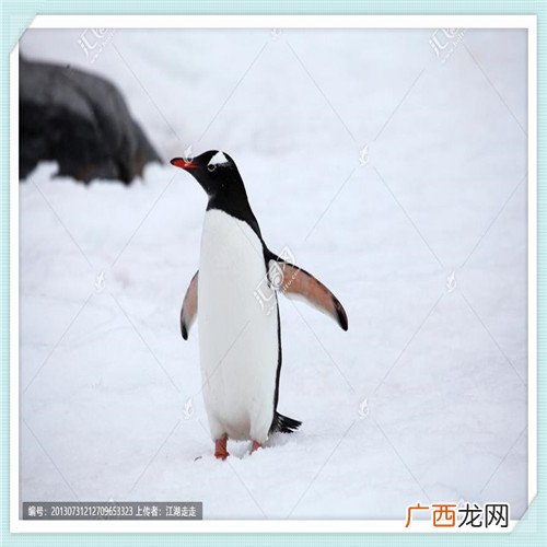昆明适合去打工吗 云南昆明人怎么样