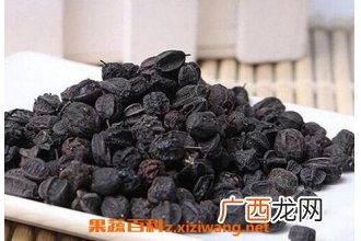 刺五加籽的功效与作用