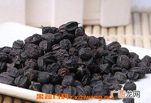 刺五加籽的功效与作用