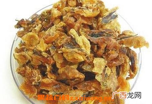 蛤蟆油的功效与作用 吃蛤蟆油的好处