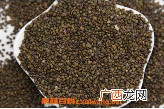 沙苑子的功效作用与用法