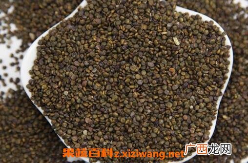 沙苑子的功效作用与用法