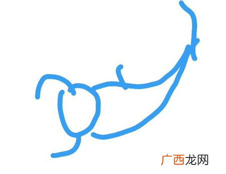 qq画图红包蝎子简笔画 蝎子如何画