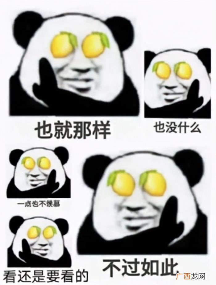 天津工业大学何穗，言承旭、张信哲来了天津工业大学