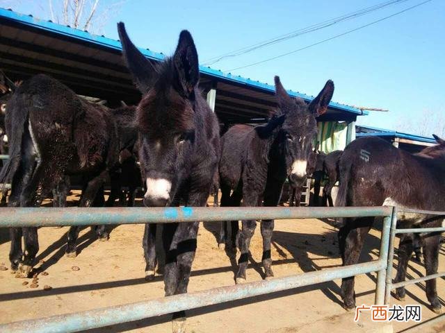 不上班的100种赚钱 加盟店什么最火农村