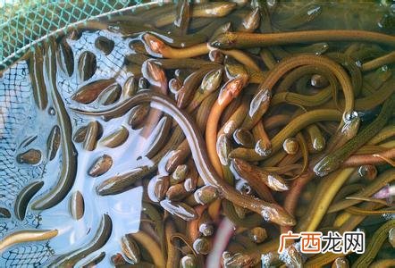 不上班的100种赚钱 加盟店什么最火农村