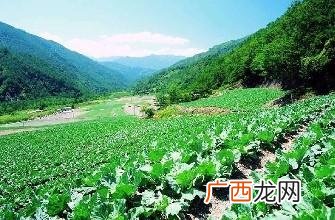 不上班的100种赚钱 加盟店什么最火农村