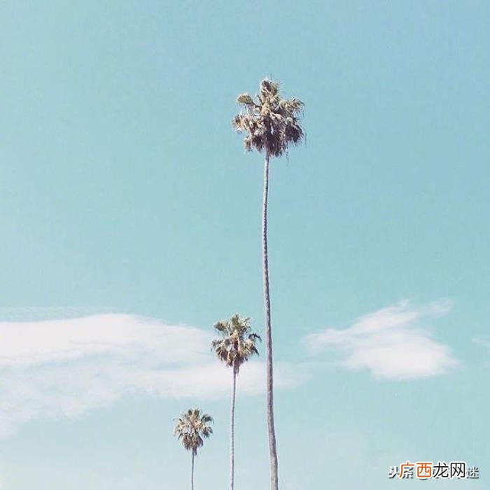 简短精辟的朋友圈说说 朋友圈简短的签名
