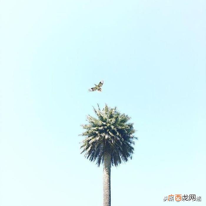 简短精辟的朋友圈说说 朋友圈简短的签名