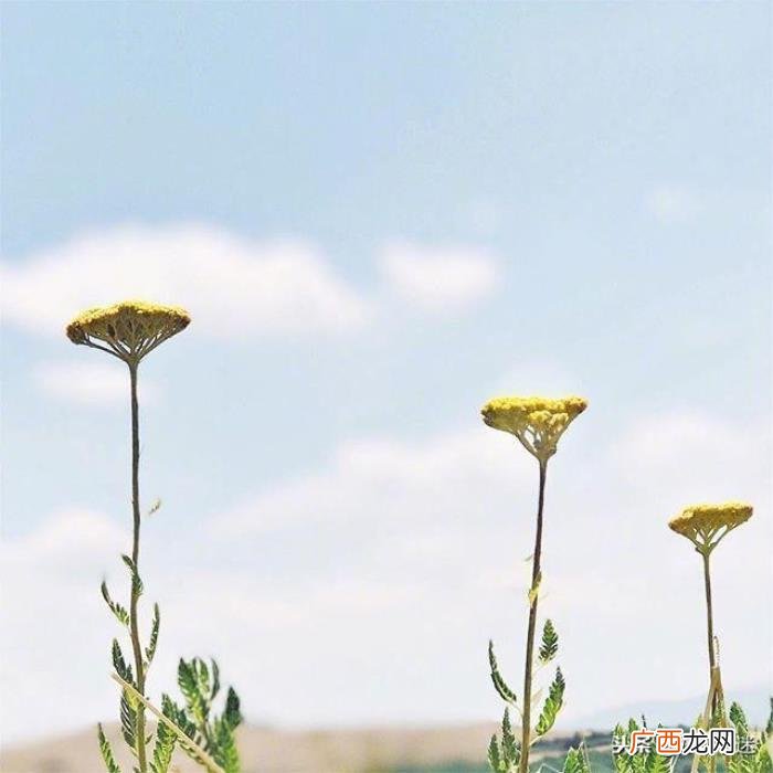 简短精辟的朋友圈说说 朋友圈简短的签名