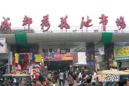 汉中成人用品批发市场在位置,武汉成人用品市场怎么样