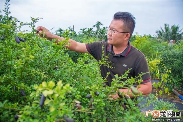 投资2～3万小生意,海南适合年轻人创业吗