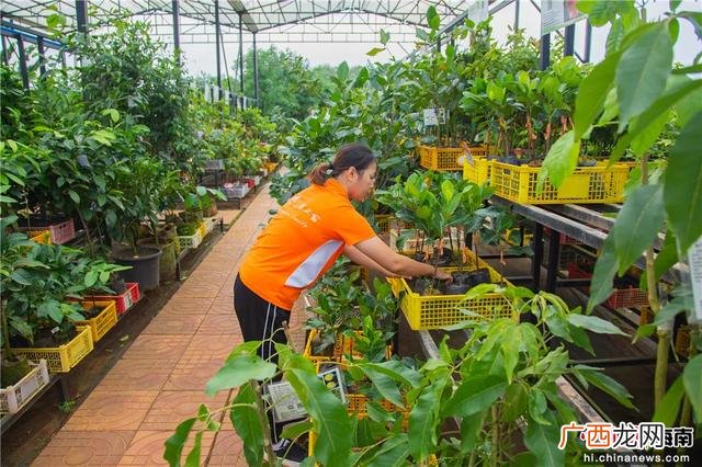 投资2～3万小生意,海南适合年轻人创业吗