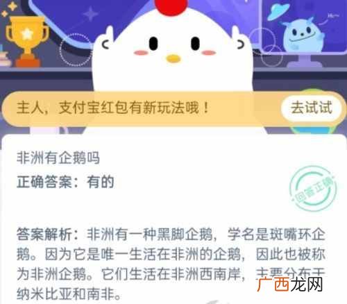 8月27日蚂蚁庄园答案公布 非洲有企鹅吗？非洲的企鹅是什么品种样子的