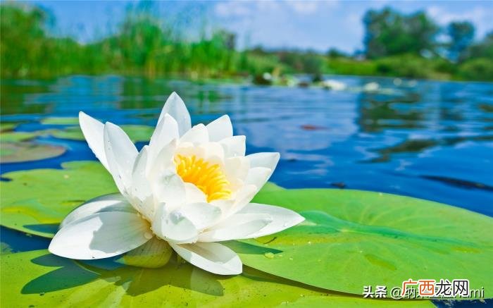 处女座女生性格分析，处女座女生十大典型特质