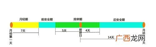 女性排卵期怎么计算最准确